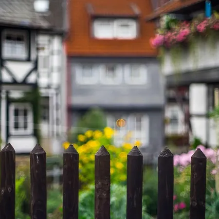 Peters Insel In Der Altstadt Von